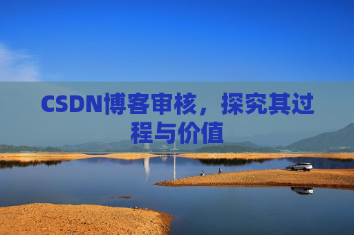 CSDN博客审核，探究其过程与价值